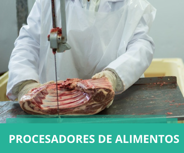 Procesadores de alimentos